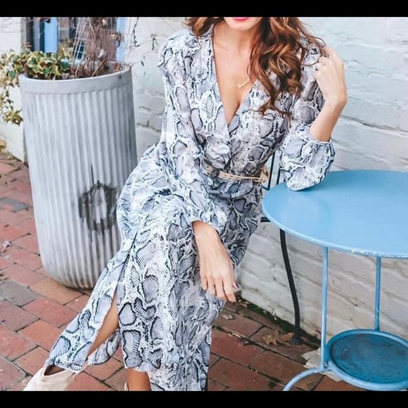 Slither Snakeskin Print MIDI Dress - live your own Reputation era in this! - Picture 1 of 4